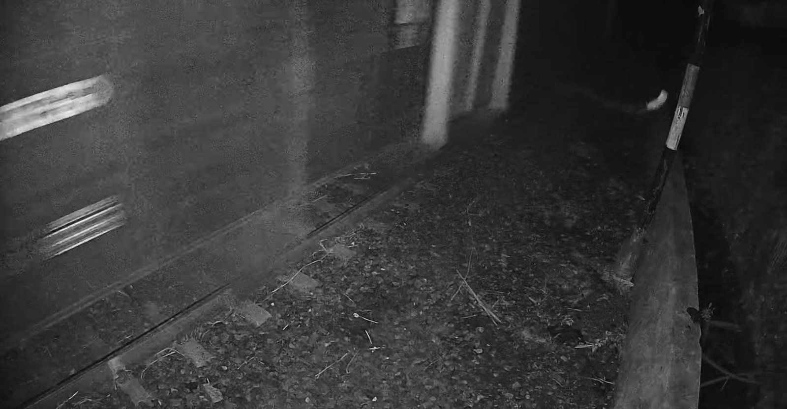 2026-07-05 23:35:44.jpg